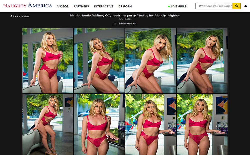 Decodificando el sitio porno VR Naughty America